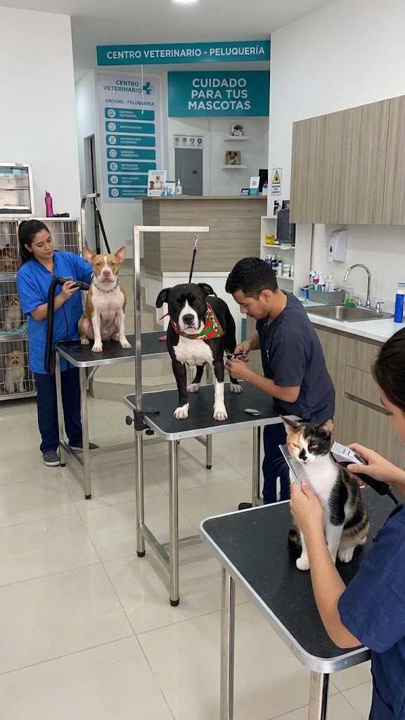 Atención Veterinaria e Insumos ImportSum